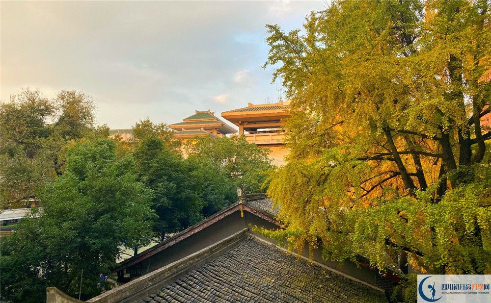 成都市泡桐樹中學平行班與實驗班差多少？