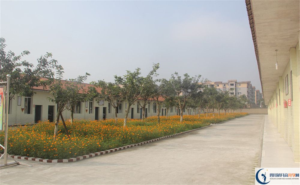 強(qiáng)項(xiàng)實(shí)驗(yàn)中學(xué)在全國高中排名多少？