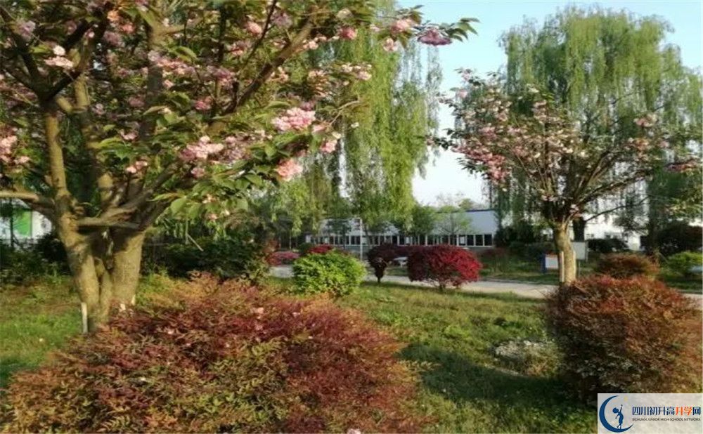 四川師范大學(xué)附屬第三實(shí)驗(yàn)中學(xué)實(shí)驗(yàn)班人數(shù)是多少？