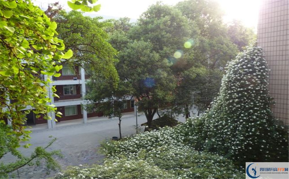 石室聯(lián)合中學(xué)蜀華分校高中分班考試難嗎？