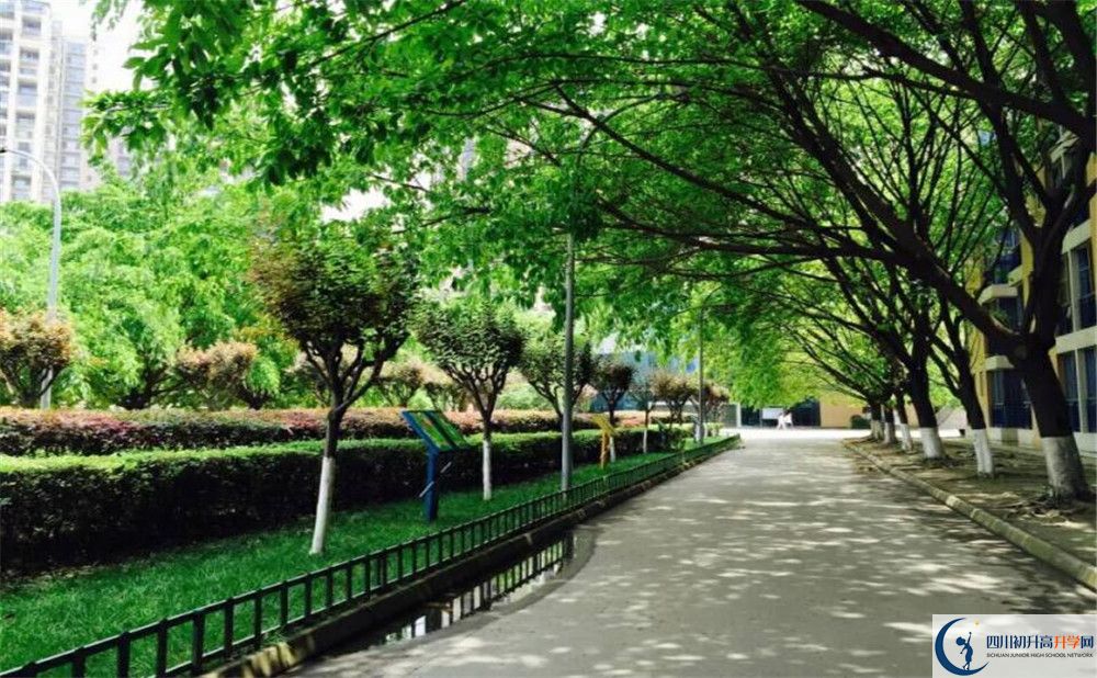 成都七中實(shí)驗(yàn)學(xué)校高2020屆高三階段檢測試題語文難嗎？