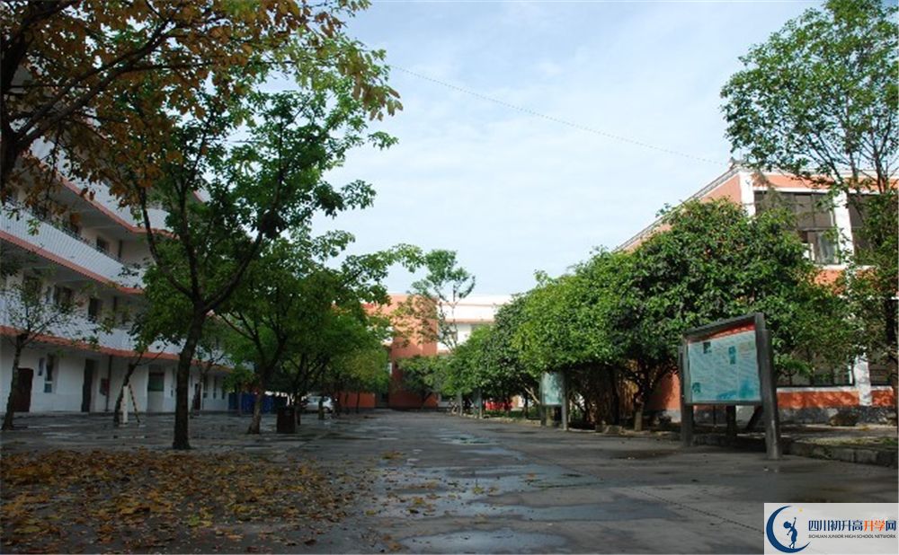 大邑中學(xué)平行班中考重點(diǎn)率是多少？