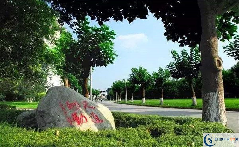 成都樹德中學(xué)補(bǔ)課嗎？