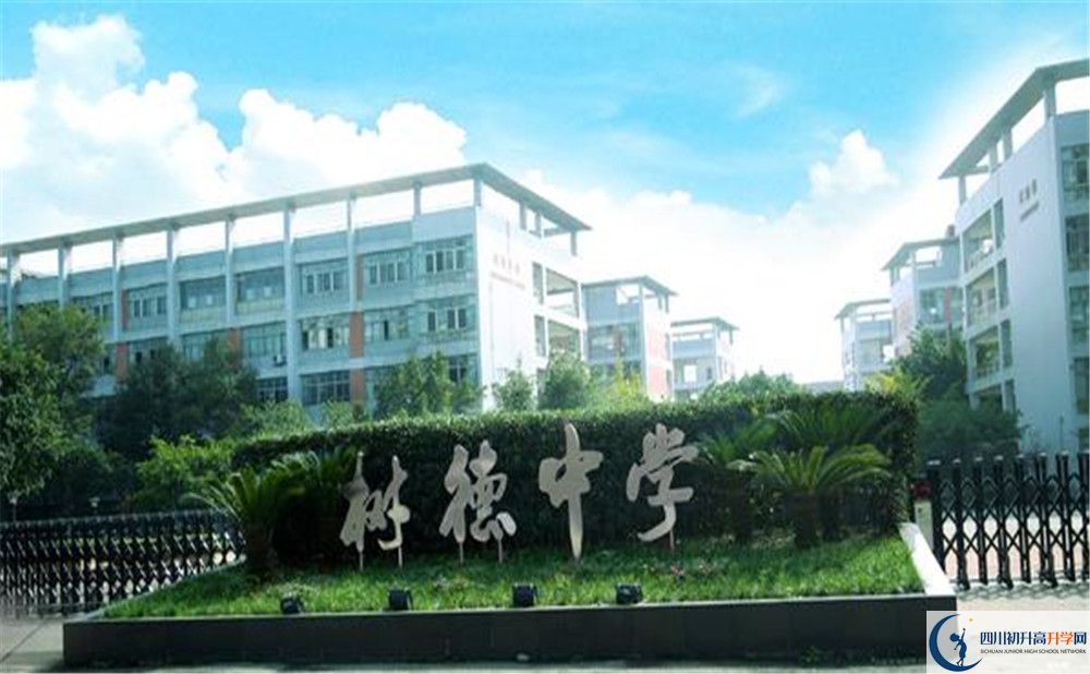 成都樹德中學(xué)光華校區(qū)補(bǔ)課嗎？