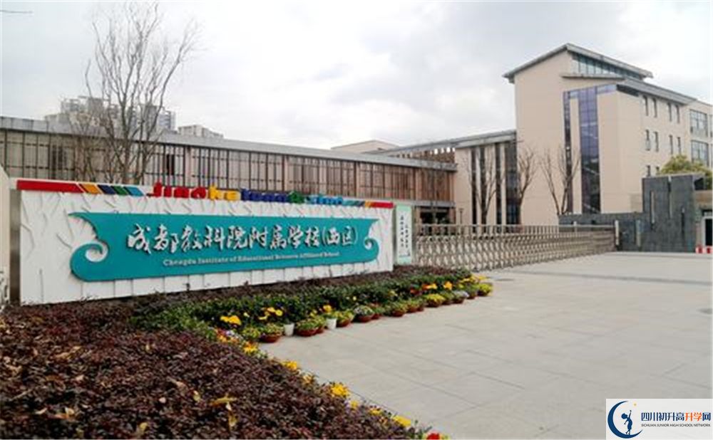 成都教科院附屬學校2020年高考人數(shù)是多少？