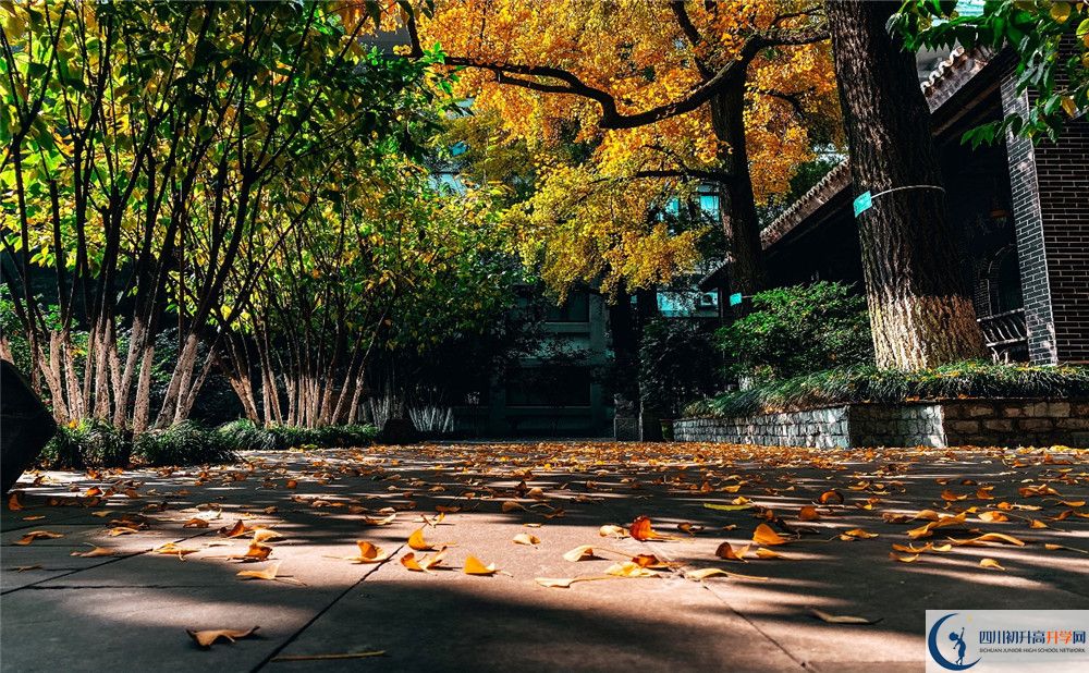 2019年北京師范大學成都實驗中學中考錄取分數線