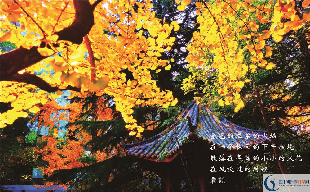成都七中初三課程資源在哪里看？