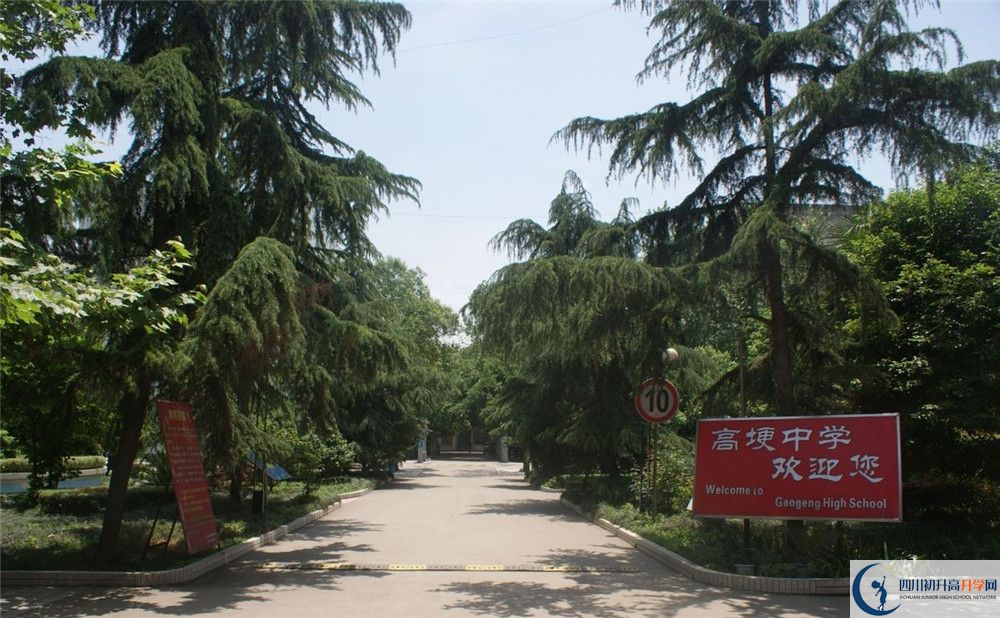 高埂中學高三診斷考試時間怎么安排？