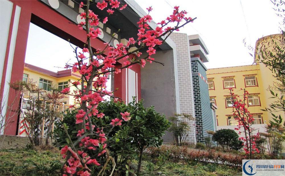 金川中學(xué)今年的錄取條件是否有變化？