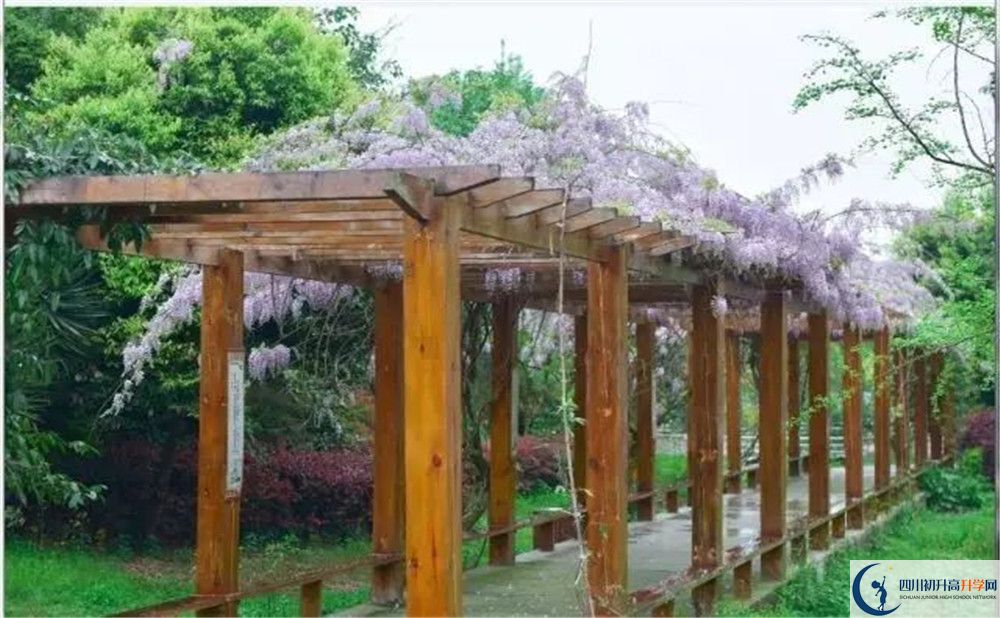 廣安花橋中學(xué)高三診斷考試時(shí)間怎么安排？