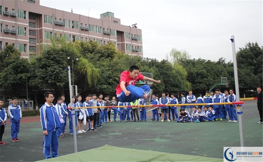 成都石室佳興外國語學校是怎么分班的？