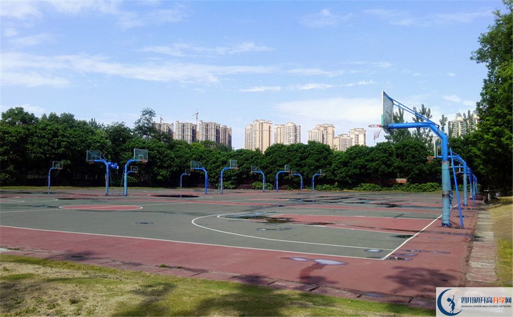 2020年成都實(shí)外西區(qū)成都排名是多少？