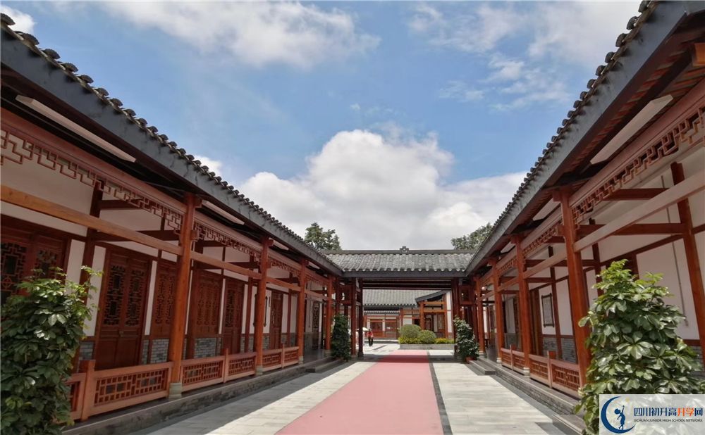 成都綿實(shí)外2020年怎么樣？