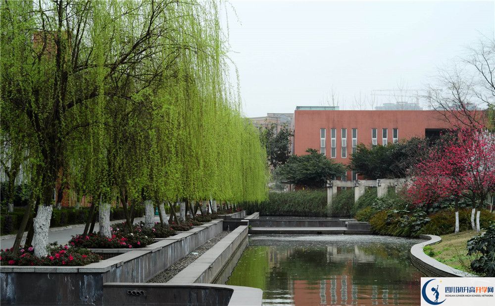 新都香城中學的哪個班2020年比較好？