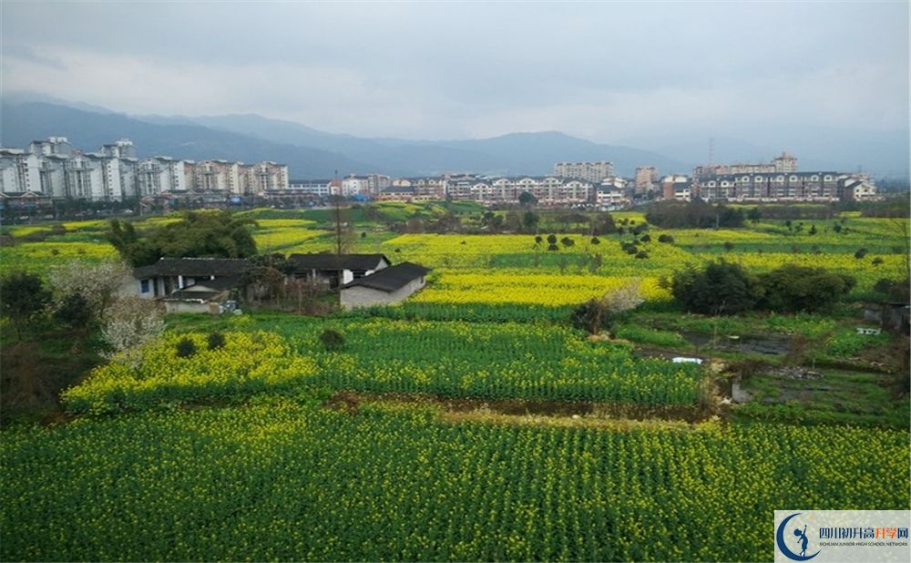 都江堰育才學(xué)校2020年錄取分?jǐn)?shù)線是多少分？