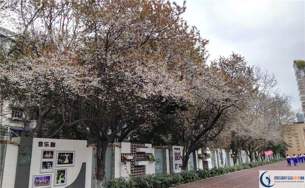 成都大學附中2020年高考成績好不好？