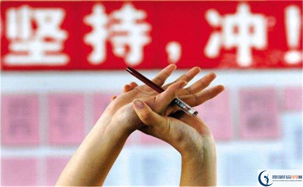 2022年成都市成都樹德中學(xué)重點(diǎn)班幾個(gè)？